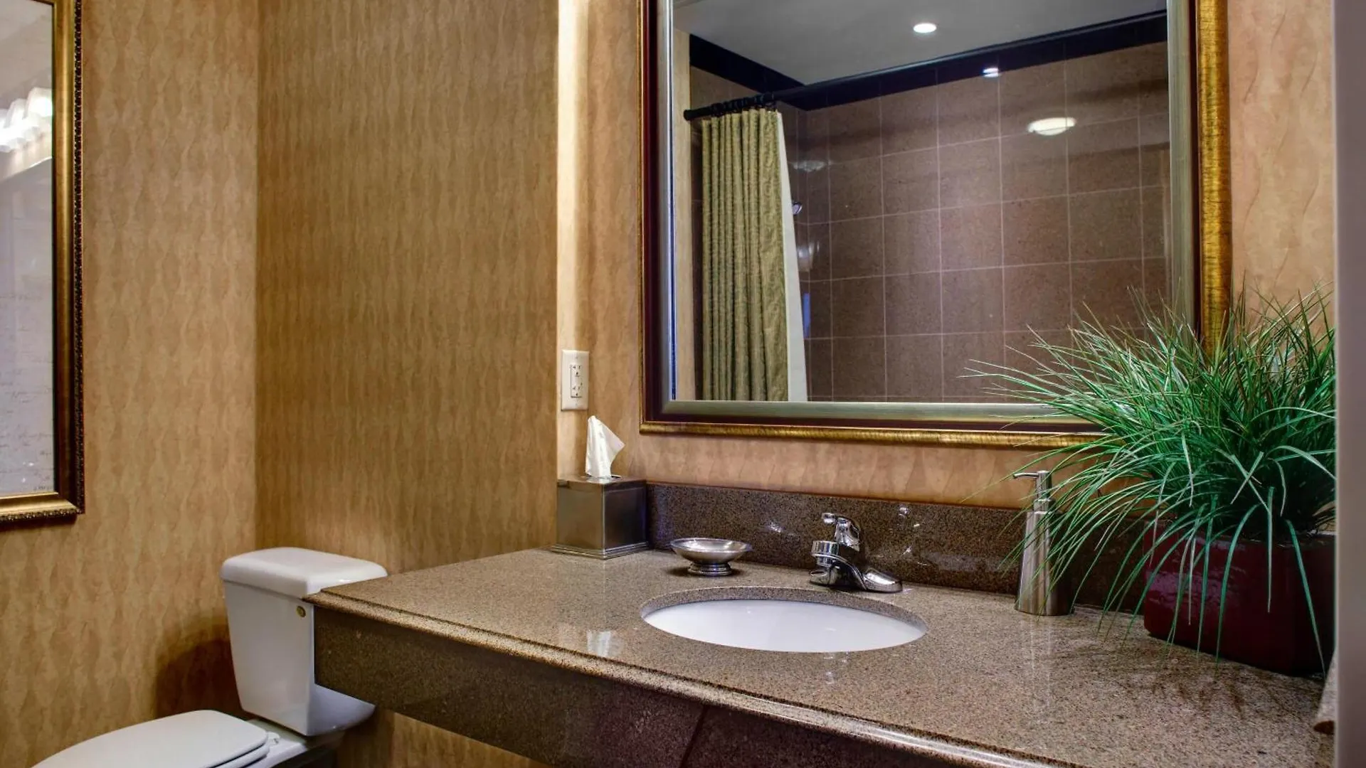 Springhill Suites Memphis Downtown